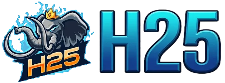 H25